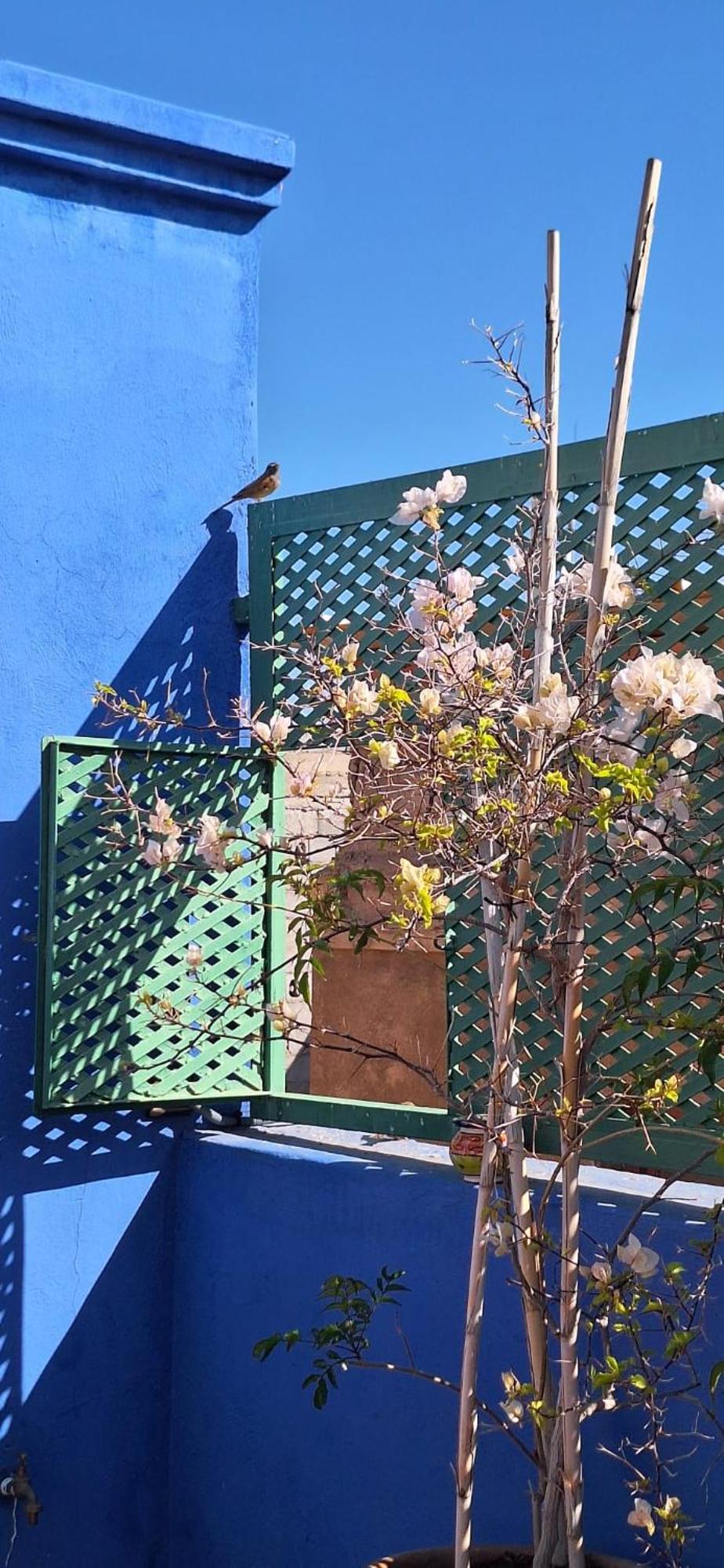 Riad Med Agora Marrakesh Exterior photo